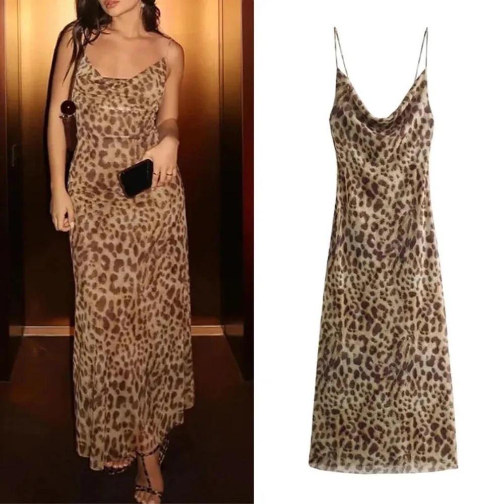 Zara Leopard Print Tulle Maxi Dress